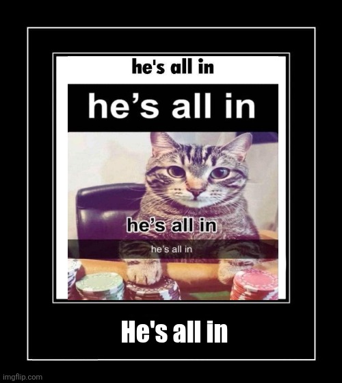 He's all in | He's all in | image tagged in black frame,cat | made w/ Imgflip meme maker