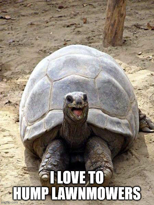 Smiling happy excited tortoise | I LOVE TO HUMP LAWNMOWERS | image tagged in smiling happy excited tortoise | made w/ Imgflip meme maker