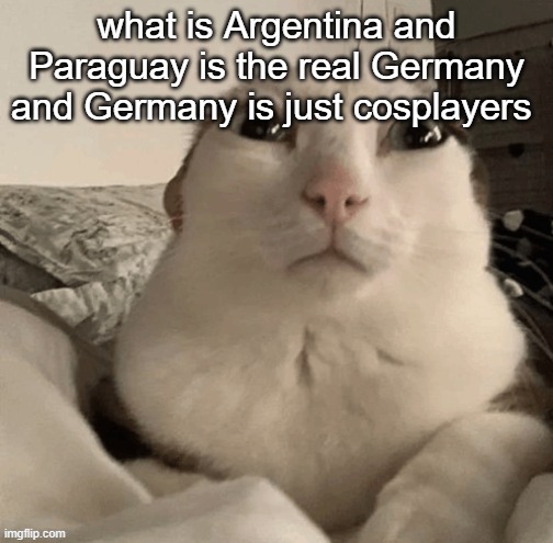 goober | what is Argentina and Paraguay is the real Germany and Germany is just cosplayers | image tagged in goober | made w/ Imgflip meme maker