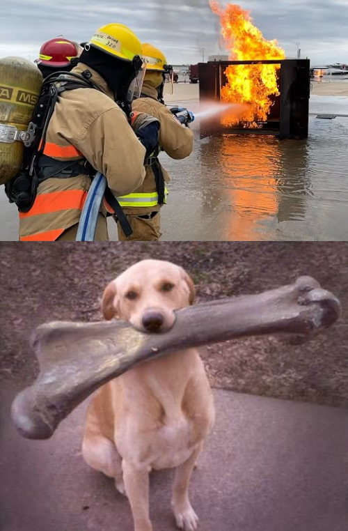 How it felt, how it went Blank Meme Template