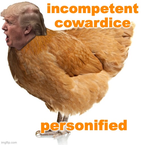 Chicken trump | incompetent
cowardice; personified | image tagged in chicken trump | made w/ Imgflip meme maker