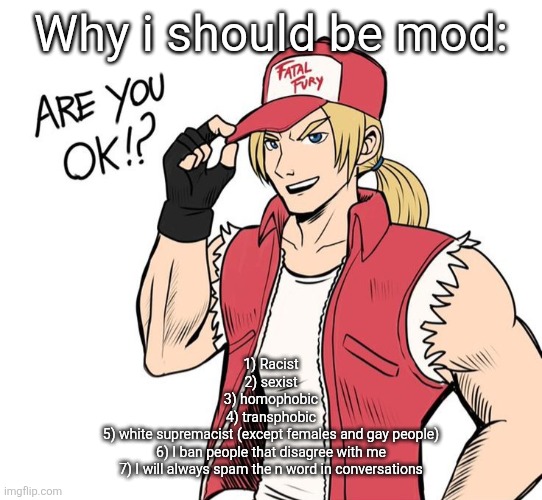 Are you okay!? | Why i should be mod:; 1) Racist
2) sexist
3) homophobic
4) transphobic
5) white supremacist (except females and gay people)
6) I ban people that disagree with me
7) I will always spam the n word in conversations | image tagged in /srs | made w/ Imgflip meme maker