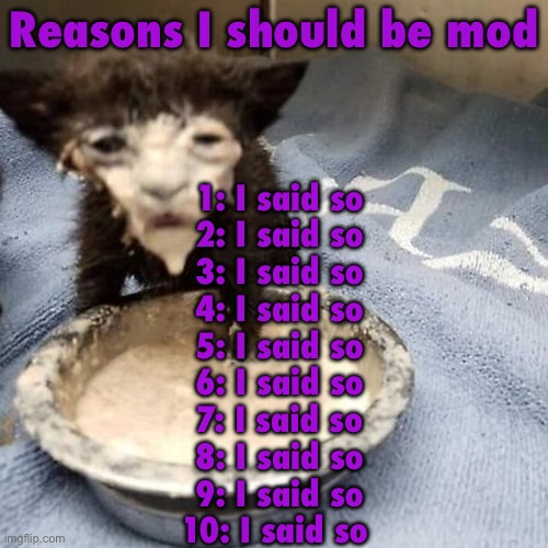 Pie :3 | Reasons I should be mod; 1: I said so
2: I said so
3: I said so
4: I said so
5: I said so
6: I said so
7: I said so
8: I said so
9: I said so
10: I said so | image tagged in pie 3 | made w/ Imgflip meme maker