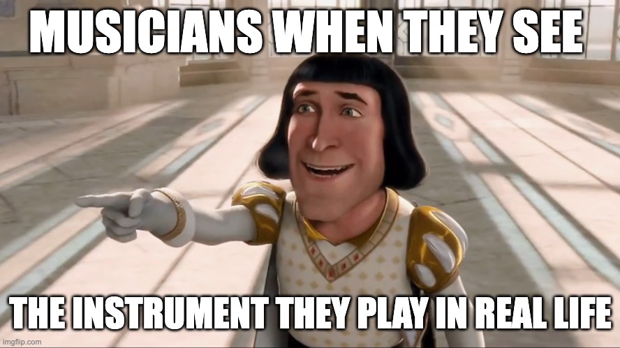 If yk, yk | MUSICIANS WHEN THEY SEE; THE INSTRUMENT THEY PLAY IN REAL LIFE | image tagged in farquaad pointing,musicians,shrek,memes | made w/ Imgflip meme maker