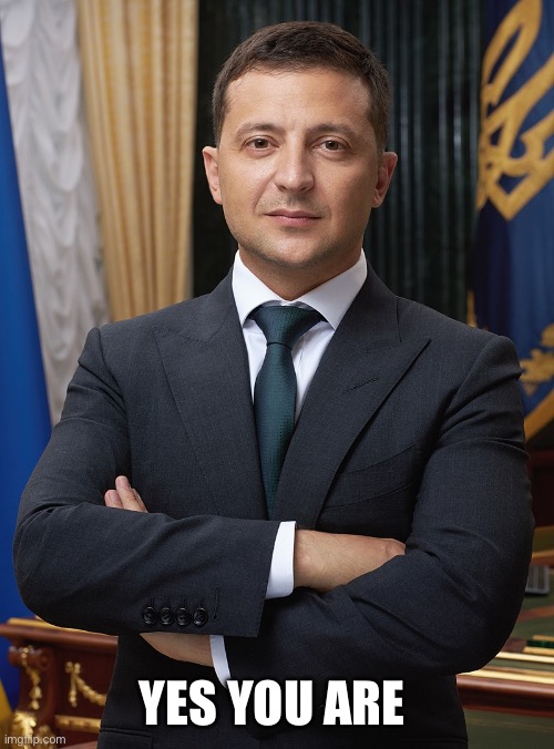 Volodymyr Zelensky | YES YOU ARE | image tagged in volodymyr zelensky | made w/ Imgflip meme maker