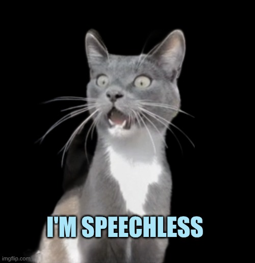 Special Thanks  to SardineYogurt | I'M SPEECHLESS | image tagged in speechless cat,sardineyogurt,something's wrong i can feel it,i should buy a boat cat,going to need a bigger boat | made w/ Imgflip meme maker