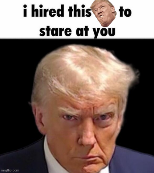 Image Title | image tagged in image tags | made w/ Imgflip meme maker