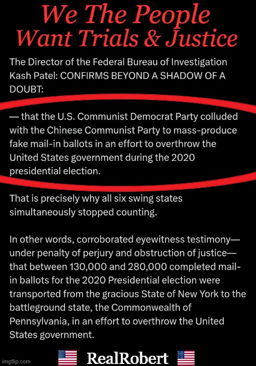 Free and fair elections | We The People; Want Trials & Justice; RealRobert | image tagged in facts,we the people,justice,trial,punishment,law and order | made w/ Imgflip meme maker
