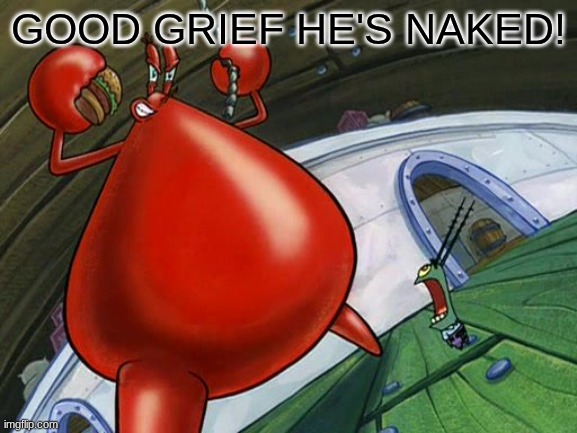 GOOD GRIEF HE'S NAKED! | image tagged in good grief he's naked | made w/ Imgflip meme maker