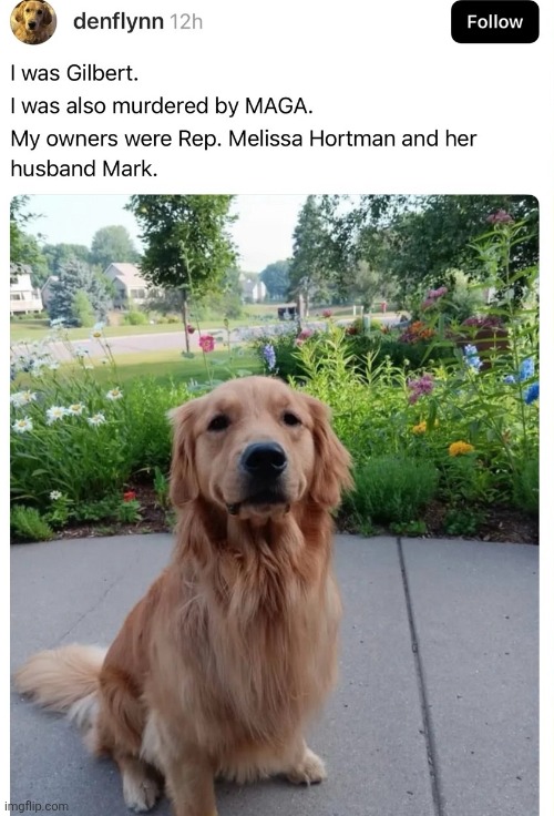 Just your daily proof that maga aren't real men | image tagged in scumbag republicans,terrorists,trailer trash,conservative hypocrisy,pedophiles,dogs | made w/ Imgflip meme maker