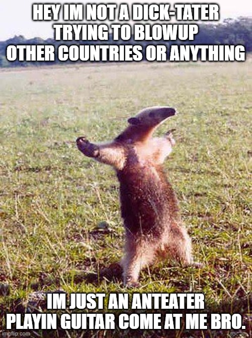 9xsxm3.jpg