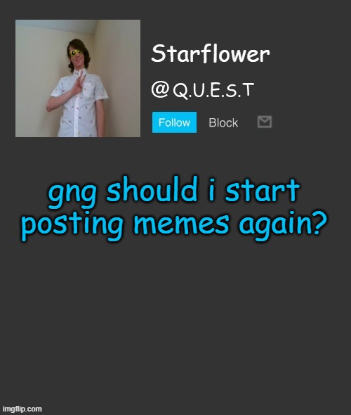 Starflower quest template | gng should i start posting memes again? | image tagged in starflower quest template | made w/ Imgflip meme maker