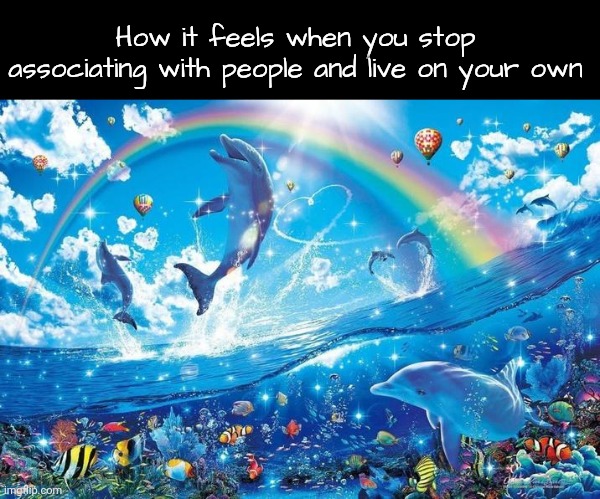 People stinky nowadays | How it feels when you stop associating with people and live on your own | image tagged in happy dolphin rainbow | made w/ Imgflip meme maker