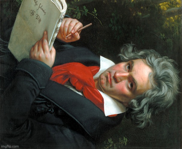Beethoven  | image tagged in beethoven | made w/ Imgflip meme maker
