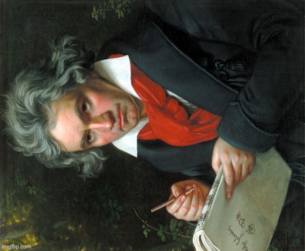 Beethoven  | image tagged in beethoven | made w/ Imgflip meme maker