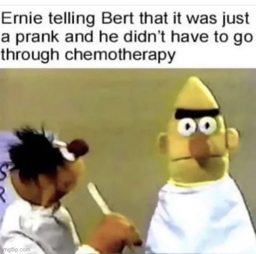 Ernie and Bert, II | image tagged in memes,funny,ernie,bert,chemo | made w/ Imgflip meme maker