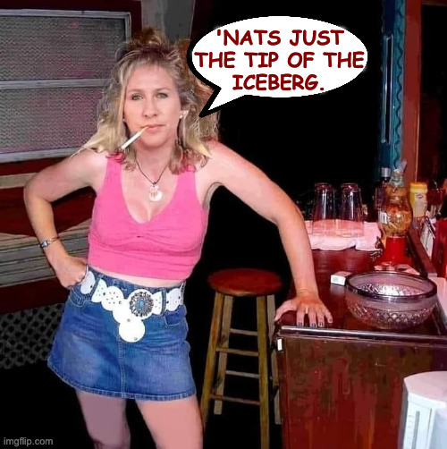 Marjorie Taylor Greene MTG on her day off hillbilly redneck | 'NATS JUST
THE TIP OF THE
ICEBERG. | image tagged in marjorie taylor greene mtg on her day off hillbilly redneck | made w/ Imgflip meme maker
