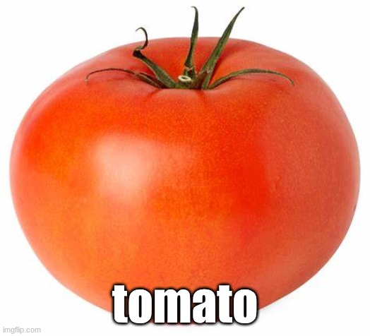 tomato | tomato | image tagged in tomato,tomatoes | made w/ Imgflip meme maker