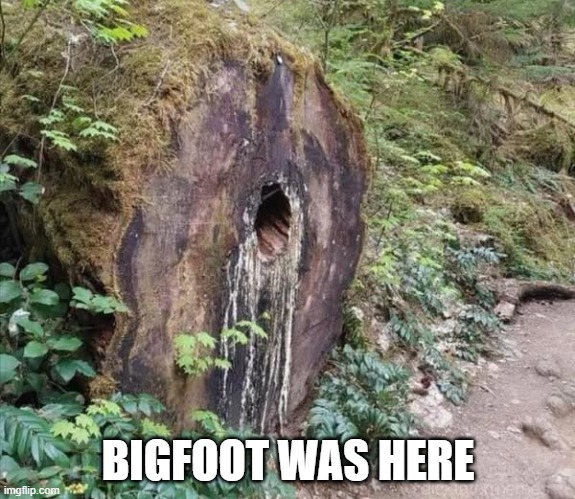 Bigfoot! | BIGFOOT WAS HERE | image tagged in sex jokes | made w/ Imgflip meme maker
