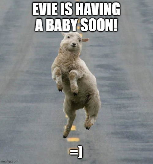 =) | EVIE IS HAVING A BABY SOON! =) | image tagged in happy sheep | made w/ Imgflip meme maker
