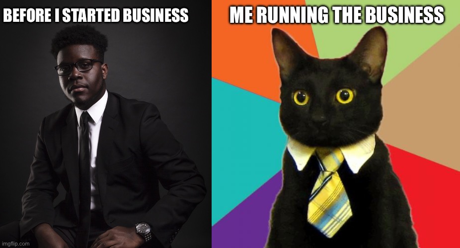 BEFORE I STARTED BUSINESS; ME RUNNING THE BUSINESS | image tagged in memes,business cat | made w/ Imgflip meme maker