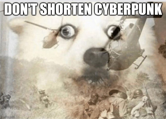PTSD dog | DON'T SHORTEN CYBERPUNK | image tagged in ptsd dog | made w/ Imgflip meme maker