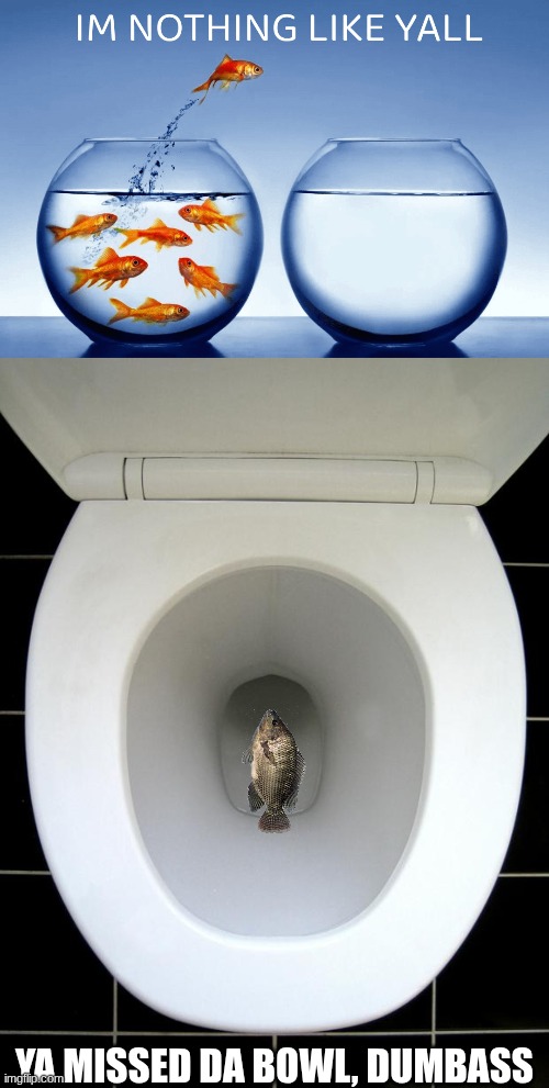 dumbass fish | YA MISSED DA BOWL, DUMBASS | image tagged in i m nothin like yall,toilet | made w/ Imgflip meme maker