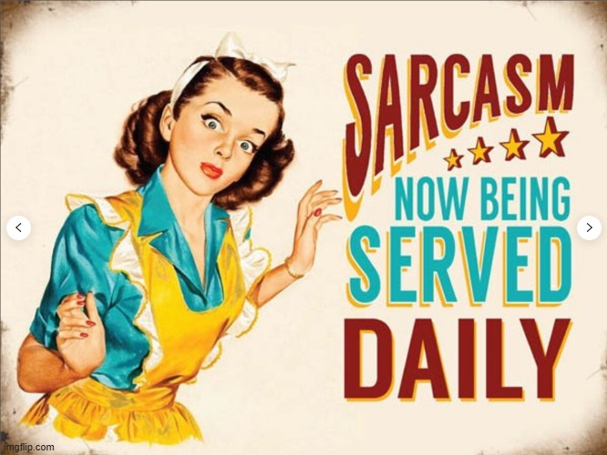 image tagged in sarcasm | made w/ Imgflip meme maker