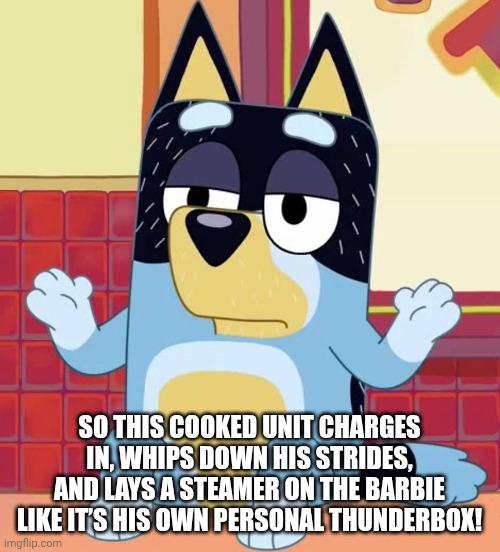 Blue poo | SO THIS COOKED UNIT CHARGES IN, WHIPS DOWN HIS STRIDES, AND LAYS A STEAMER ON THE BARBIE LIKE IT’S HIS OWN PERSONAL THUNDERBOX! | image tagged in bluey bandit too tired to care | made w/ Imgflip meme maker