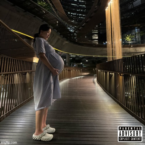 proof that anything can be an album cover pt. 20 | image tagged in pregnant woman out at night,album | made w/ Imgflip meme maker
