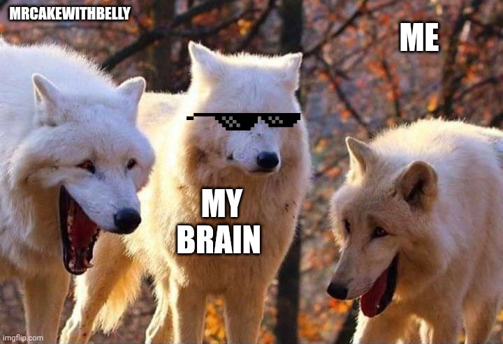 Laughing wolf | MRCAKEWITHBELLY; ME; MY BRAIN | image tagged in laughing wolf | made w/ Imgflip meme maker