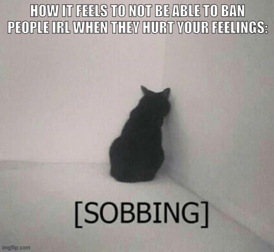 SANS GET OUT OF MY OFFICE (epsi. note: real teal seal beal wait thats not a real word) (Get The Out -Sys) | HOW IT FEELS TO NOT BE ABLE TO BAN PEOPLE IRL WHEN THEY HURT YOUR FEELINGS: | image tagged in sobbing cat,sans of topic | made w/ Imgflip meme maker