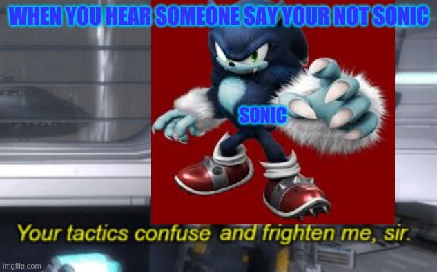 But he's sonic! just in werewolf form | WHEN YOU HEAR SOMEONE SAY YOUR NOT SONIC; SONIC | image tagged in your tactics confuse and frighten me sir,but hes sonic | made w/ Imgflip meme maker