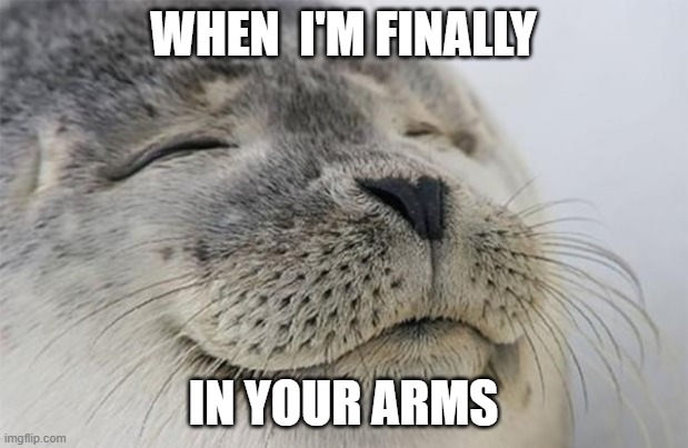 missing you | WHEN  I'M FINALLY; IN YOUR ARMS | image tagged in wholesome seal | made w/ Imgflip meme maker