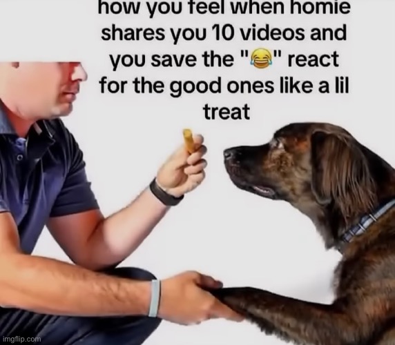 Who’s a good boy | made w/ Imgflip meme maker
