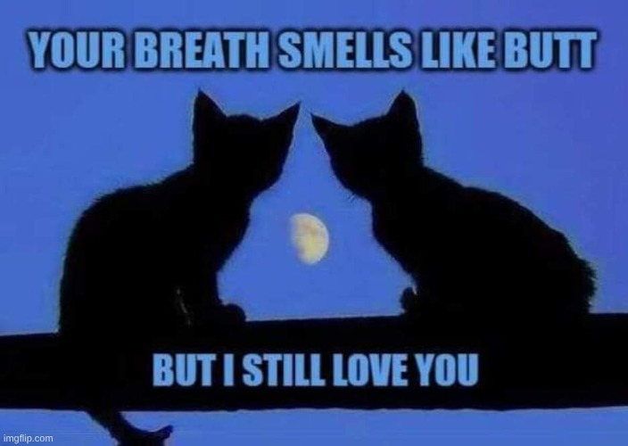 image tagged in butt,breath,smelly,i love you,cats,love | made w/ Imgflip meme maker