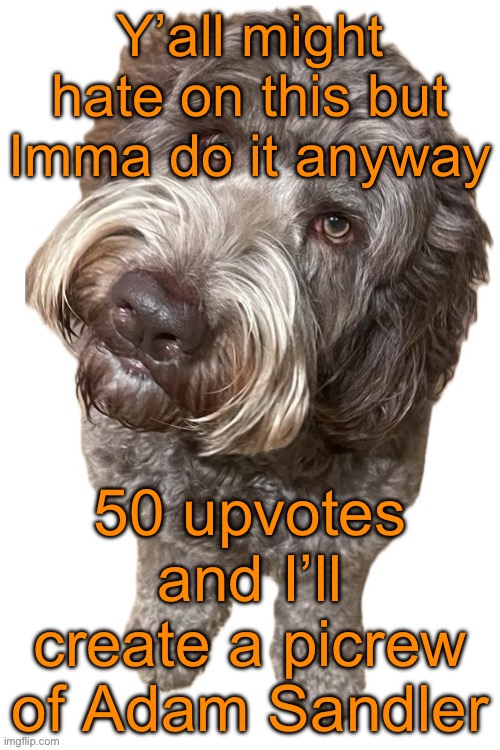 Clout is clout, they say | Y’all might hate on this but Imma do it anyway; 50 upvotes and I’ll create a picrew of Adam Sandler | image tagged in norther's dog | made w/ Imgflip meme maker