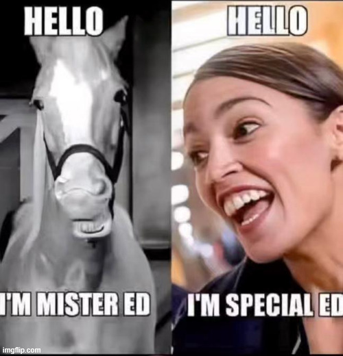 She's special | image tagged in aoc,defines stupidity | made w/ Imgflip meme maker