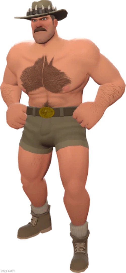 TF2 Saxton Hale | image tagged in tf2 saxton hale | made w/ Imgflip meme maker