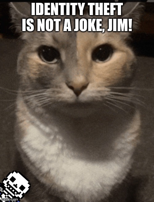 MILLIONS OF FAMILIES SUFFER FROM IT EVERY YEAR! (Who’s Jim? -Spinel) | IDENTITY THEFT IS NOT A JOKE, JIM! | image tagged in cat dead stare | made w/ Imgflip meme maker