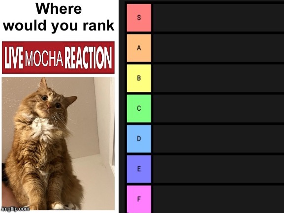 There is a correct answer | image tagged in where would you rank | made w/ Imgflip meme maker