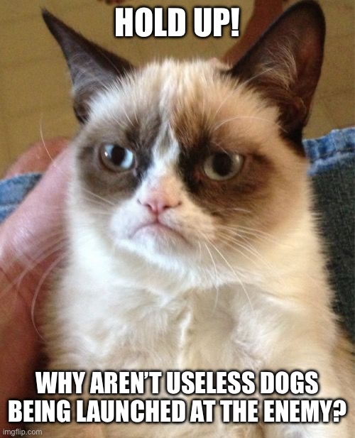 Grumpy Cat Meme | HOLD UP! WHY AREN’T USELESS DOGS BEING LAUNCHED AT THE ENEMY? | image tagged in memes,grumpy cat | made w/ Imgflip meme maker
