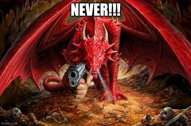 dragon | NEVER!!! | image tagged in dragon | made w/ Imgflip meme maker