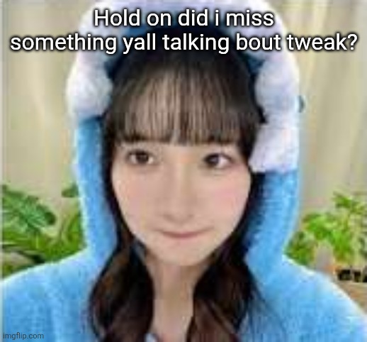 brainless  goober | Hold on did i miss something yall talking bout tweak? | image tagged in brainless goober | made w/ Imgflip meme maker
