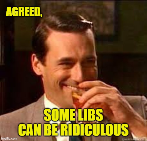 madmen | AGREED, SOME LIBS CAN BE RIDICULOUS | image tagged in madmen | made w/ Imgflip meme maker