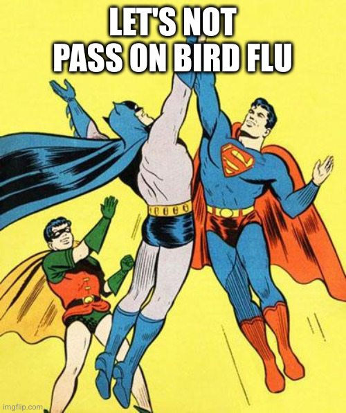 Epic High Five  | LET'S NOT PASS ON BIRD FLU | image tagged in epic high five | made w/ Imgflip meme maker