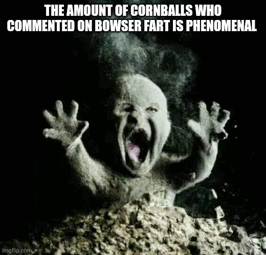 Ash baby | THE AMOUNT OF CORNBALLS WHO COMMENTED ON BOWSER FART IS PHENOMENAL | image tagged in ash baby | made w/ Imgflip meme maker