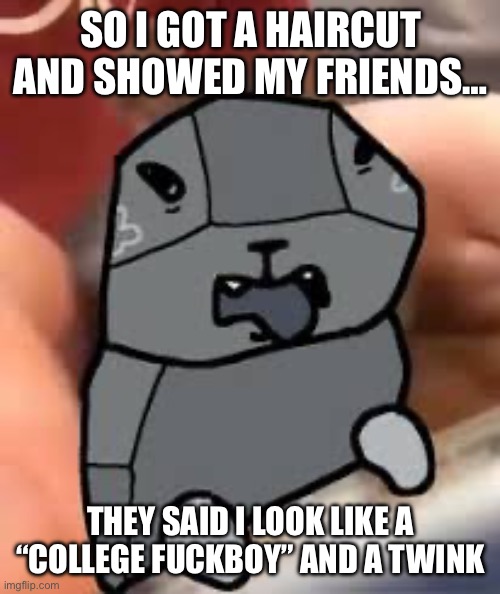 I guess I could face reveal in comments | SO I GOT A HAIRCUT AND SHOWED MY FRIENDS…; THEY SAID I LOOK LIKE A “COLLEGE FUCKBOY” AND A TWINK | image tagged in dandys world meme | made w/ Imgflip meme maker