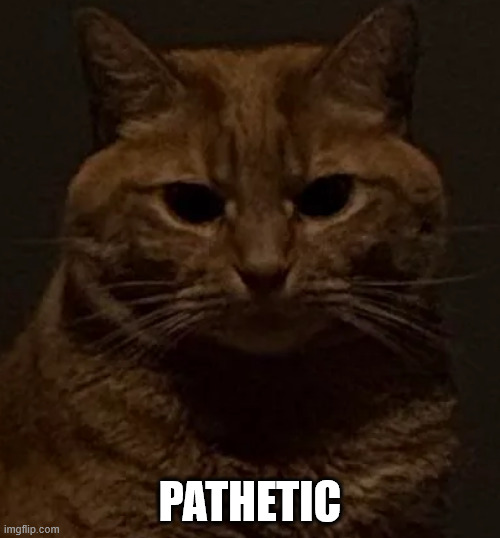 PATHETIC | made w/ Imgflip meme maker