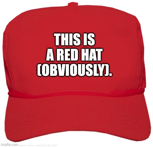 red hat | THIS IS A RED HAT (OBVIOUSLY). | image tagged in blank red maga hat | made w/ Imgflip meme maker